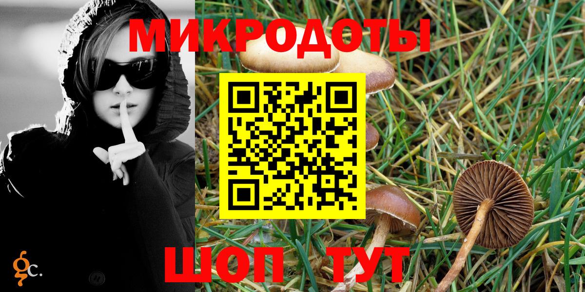 Галлюциногенные грибы мухоморы Сланцы
