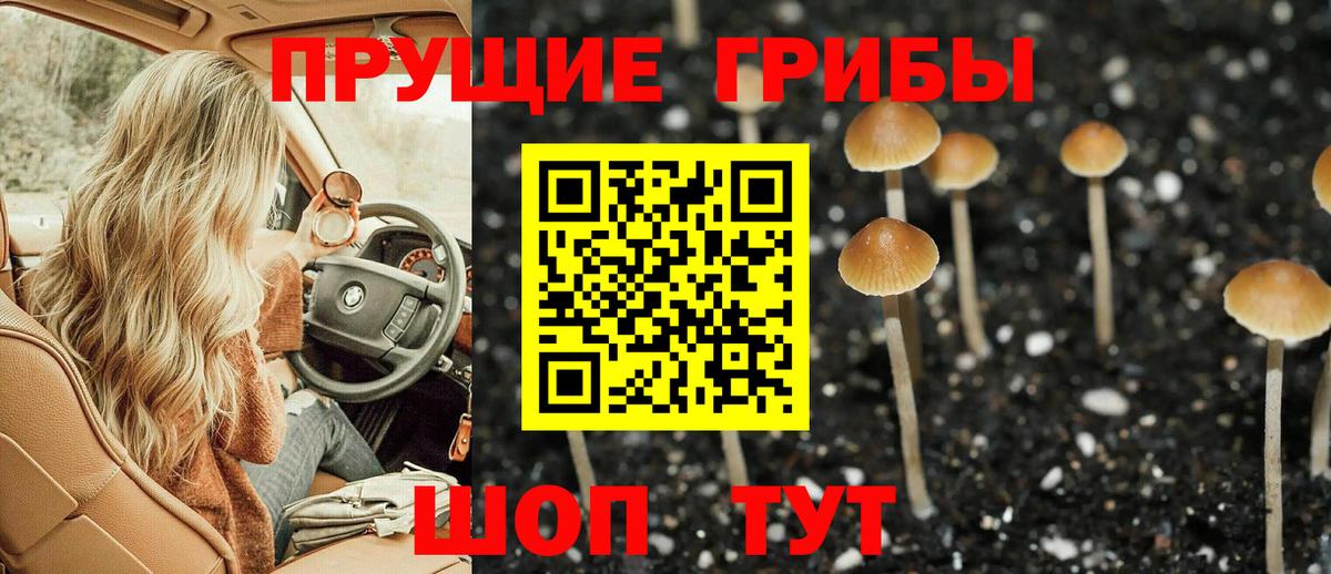 Псилоцибиновые грибы мухоморы  сколько стоит  Сланцы  Псилоцибиновые грибы прущие грибы  Вход с VPN 